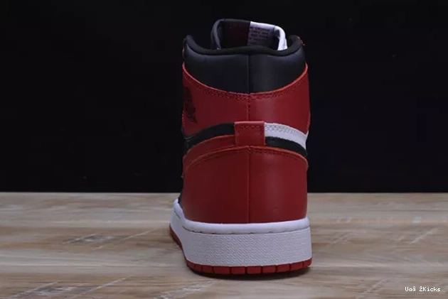 JORDAN 1 RETRO Flexible AIR 285 1106